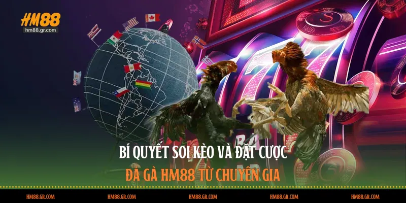 Bí quyết soi kèo và đặt cược đá gà HM88 từ chuyên gia