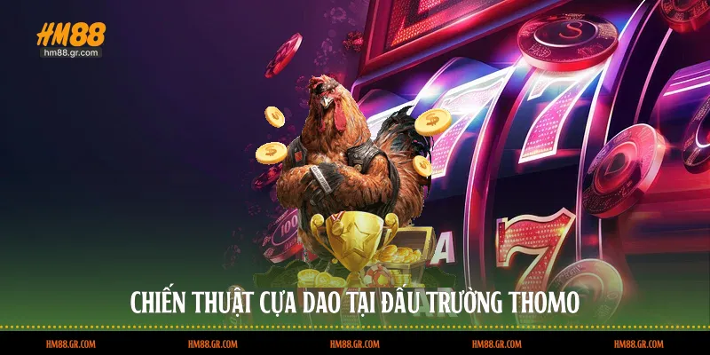 Chiến thuật cựa dao tại đấu trường Thomo