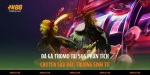 Đá Gà Thomo