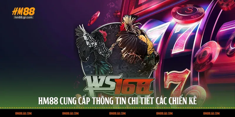 HM88 cung cấp thông tin chi tiết các chiến kê