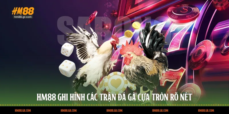 HM88 ghi hình các trận đá gà cựa tròn rõ nét